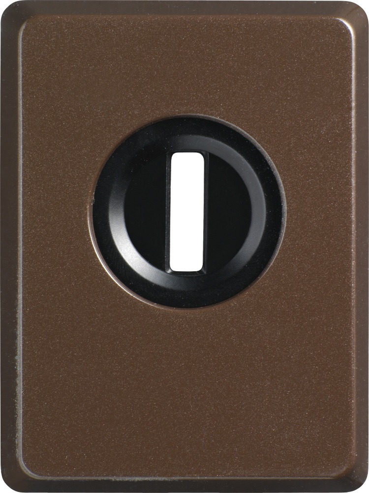 Zylinderschutz PZS70 B